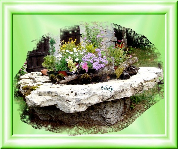 les fleurs dans le jardin